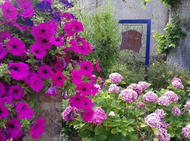 Les Quatre Saisons Bed & Breakfast Moitron-sur-Sarthe Bagian luar foto